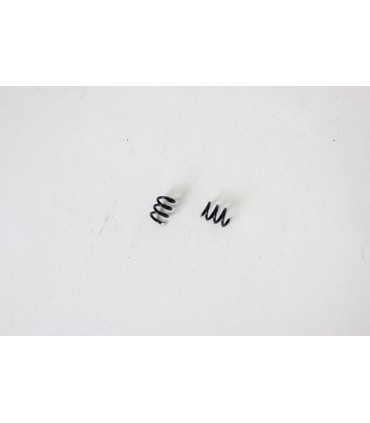 Extruder spring