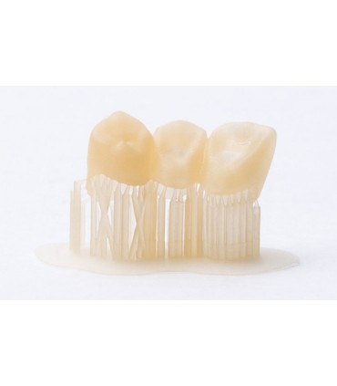 Z-Resin Raydent Crown and Bridge  1L