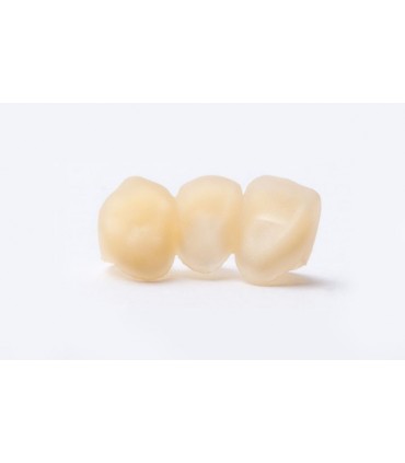 Z-Resin Raydent Crown and Bridge  1L