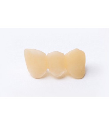 Z-Resin Raydent Crown and Bridge  1L