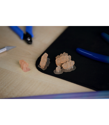 Z-Resin Raydent Crown and Bridge  1L