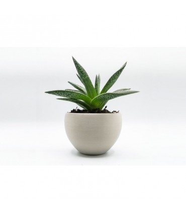 FILAFLEX PURIFIER 2.85 mm 0,5kg NATURAL