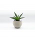 PLA PURIFIER 1.75 mm 750gr NATURAL
