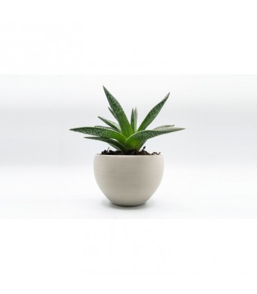 PLA PURIFIER 1.75 mm 750gr NATURAL