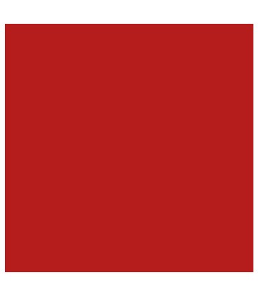 CUBEPRO PLA 1kg RED