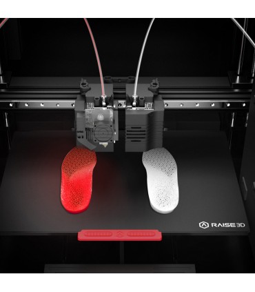 RAISE3D E2